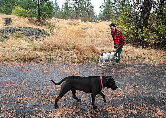 SRX LINCOLN DOG PARK 1