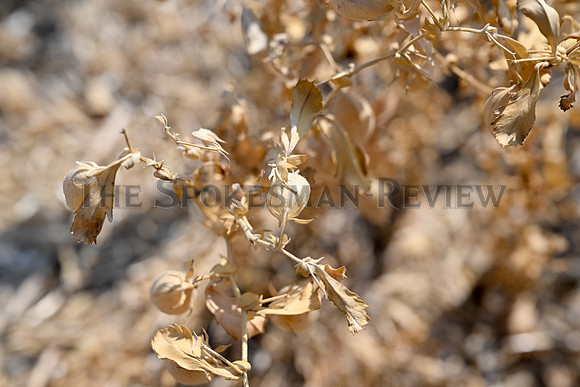 FARMING_005_TT