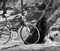 BICYCLES - THRU 1979
