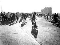 BICYCLES - 1980 -
