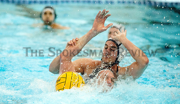 KEVIN SHIPMAN AND PETER NEIRINCKX, WATER POLO