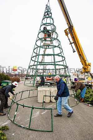 ROTARY VOLUNTEERS SET UP CHRISTMAS TREE