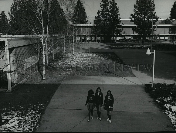 1973 Press Photo Ferris High School