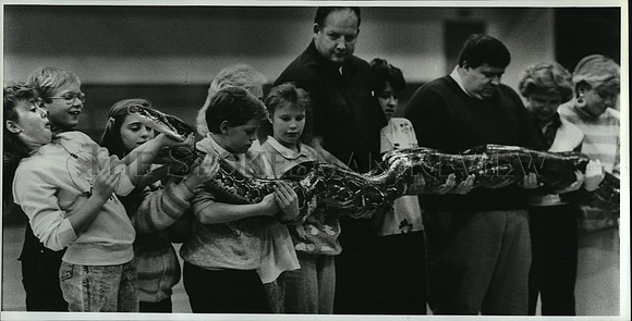 1987 Press Photo Lakes Middle School students hold a 25-foot boa constrictor