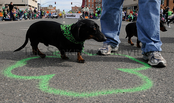 ST. PATRICK'S PARADE 2011