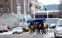 CARRIAGE RIDES 5