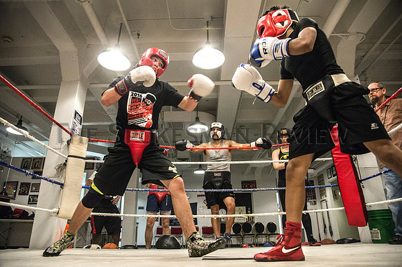 ALVEREZ CODY BOXERS 11
