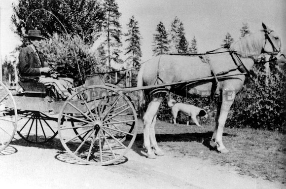MAIL CART HISTORICAL