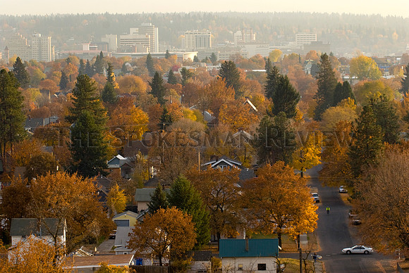 SPOKANE AUTUMN LEAVES