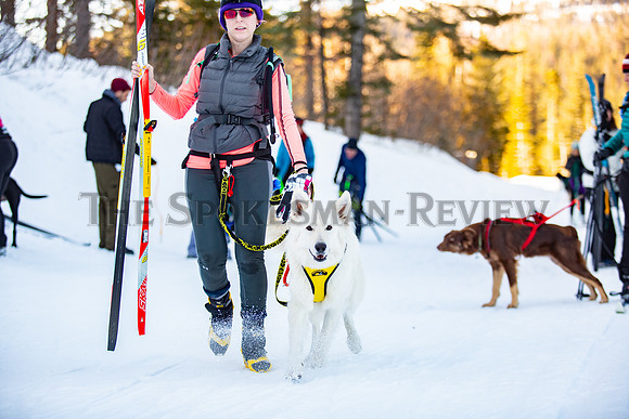 SKIJORING 8