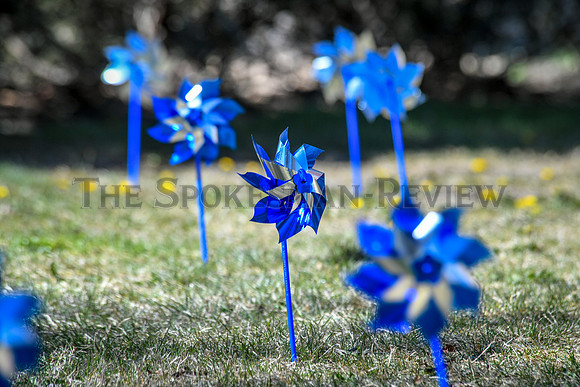 SRX PINWHEELS 6