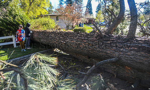 SRX WIND DAMAGE 13