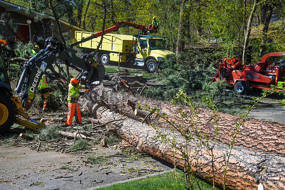 SRX WIND DAMAGE 11