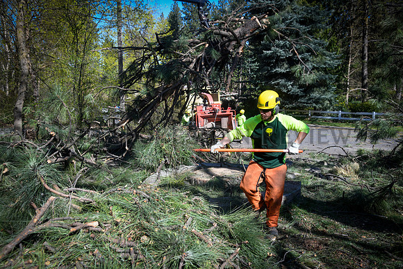 SRX WIND DAMAGE 10