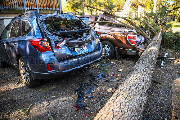 SRX WIND DAMAGE 3
