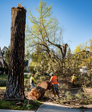SRX_ WINDSTORM 2
