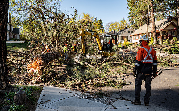 SRX_ WINDSTORM 1