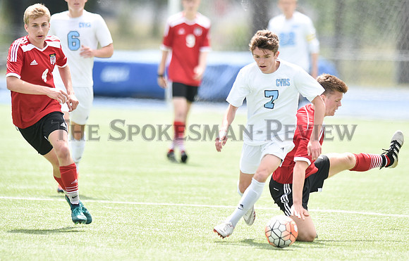 CV, DEVIN HAUENSTEIN 1