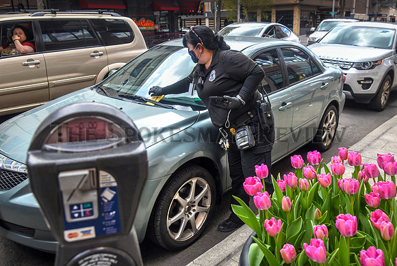 SRX PARKING METER
