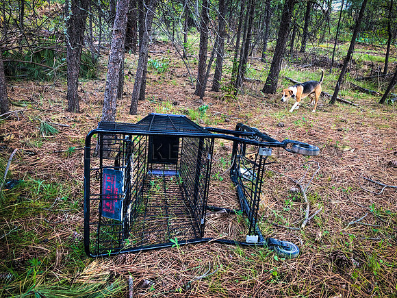 SRX SHOPPING CARTS 3