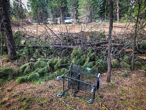 SRX SHOPPING CARTS 1
