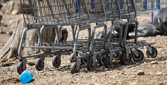 SRX STRAY SHOPPING CARTS 5