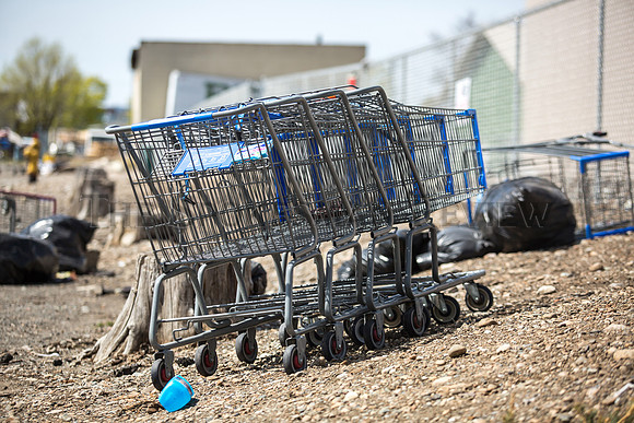 SRX STRAY SHOPPING CARTS 2