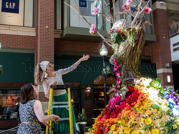 cit_210509_floral_display_SUNNWCP
