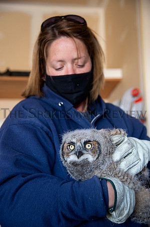 SRX OWL REHAB 5
