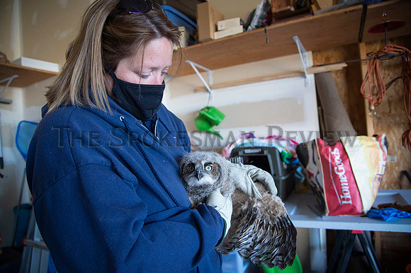 SRX OWL REHAB 1