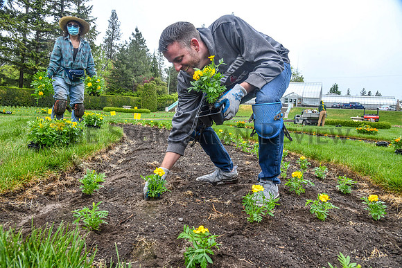 SRX MANITO DUNCAN PLANTS 5