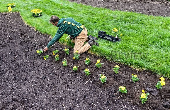 SRX MANITO DUNCAN PLANTING 3