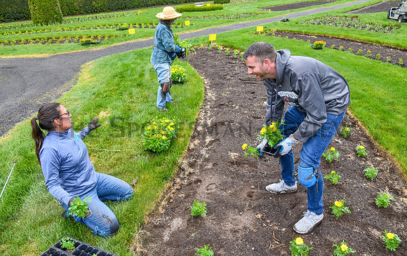 SRX MANITO DUNCAN PLANTING 7