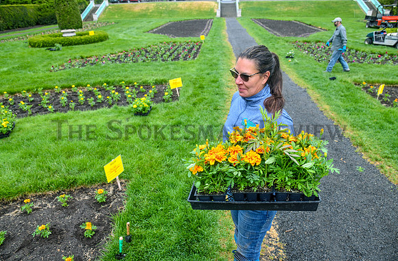 SRX MANITO DUNCAN PLANTING 1