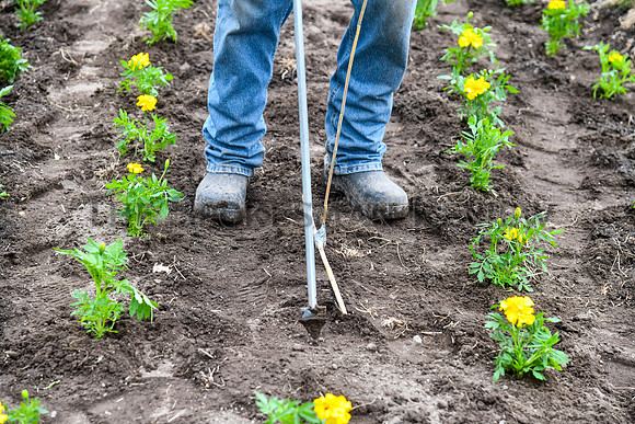 SRX MANITO DUNCAN PLANTING 4