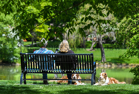 SRX CANNON HILL BENCH 1