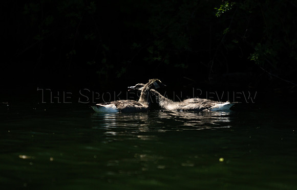 SRX HOLIDAY BOATING 8