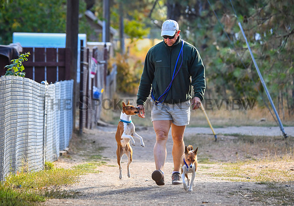SRX DOG PARK 1