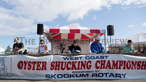 OYSTERS 20