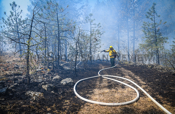 SRX GROVE FIRE 5