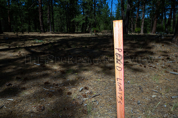 SRX_DISC GOLF COURSE 3
