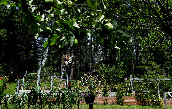 srx_CDA_Garden_4_.jpg