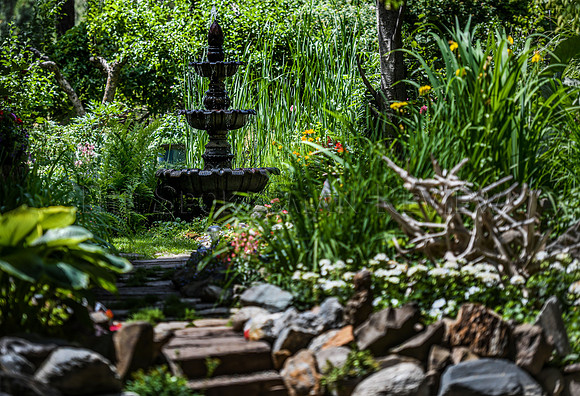 srx_CDA_Garden_6_.jpg
