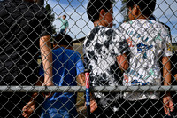 SRX_WELLPINITBASEBALL_001_TT