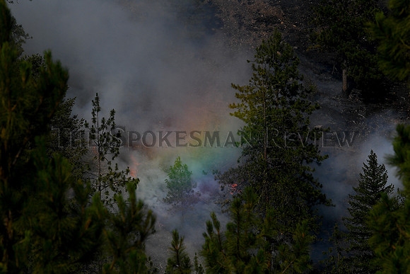 SRX_FIREPINEHILL_004_tt