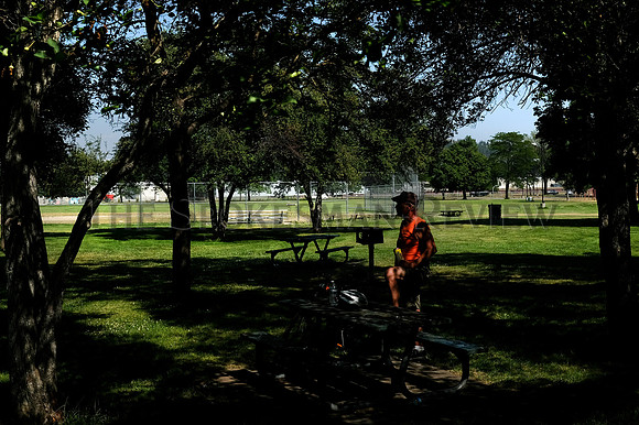 cit_210705_trees_could_help_photo