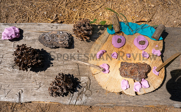SRX_LITTLE WOODLAND ADVENTURES 3