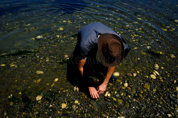 SRX_SHELLFISH_006_tt