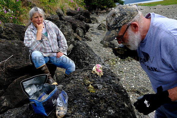 SRX_SHELLFISH_004_tt