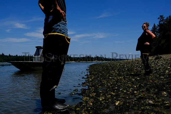 SRX_SHELLFISH_007_tt